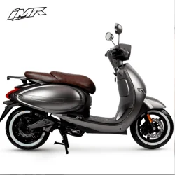 SCOOTER ELECTRICO EC6 IMR GRIS MATE (1BATERIA) 2