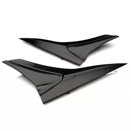Paneles laterales de depósito de fibra de carbono CARBON 2 RACE APRILIA RS660