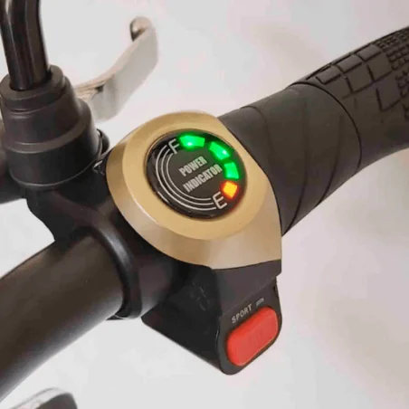 copy of PATINETE ELECTRICO 2000W IMR