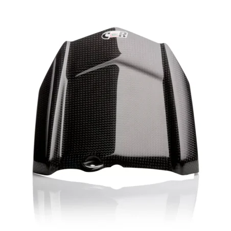 CARBON 2 RACE Guardabarros trasero Carbono YAMAHA MT09 / FZ09 2013-2020