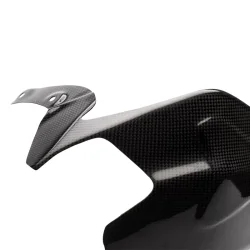 Protectores Basculante Carbono CARBON 2 RACE DUCATI PANIGALE V2 2