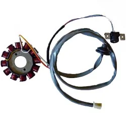 Stator SGR 12 Polos con pick-up 2 cables(Motor Yamaha 50 2T Euro 2)