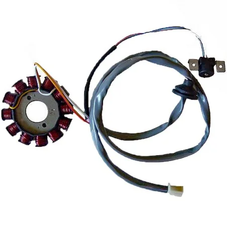 Stator SGR 12 Polos con pick-up 2 cables(Motor Yamaha 50 2T Euro 2)