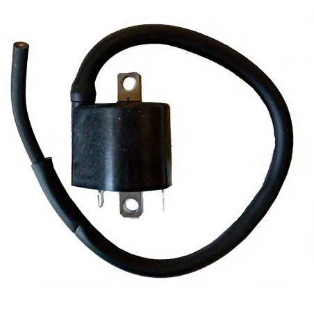 Bobina Mitsubishi F6T559 12V-3,6OHM- 2 CONTACTOS- CON CABLE