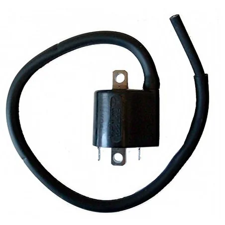 Bobina Mitsubishi F6T559 12V-3,6OHM-2 CONTACTOS CON CABLE