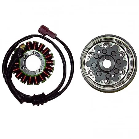 Volante Magnético 18 Polos 12V 370W Motor Piaggio "MASTER" 400/500 4T
