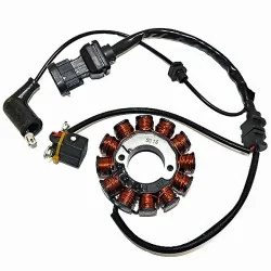Stator Kokusan Trifase 12 polos Vespa Iget