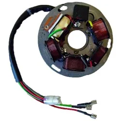 Stator SGR 6 Polos con base Piaggio SIN PICK-UP