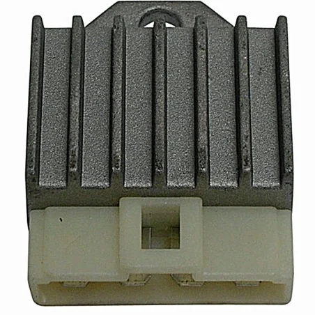 Regulador 12V/8A - CA/CC - 4 Fastons