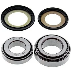 Kit de rodamientos y retenes columna de dirección All Balls 22-1019