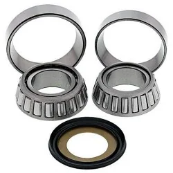 All Balls Kit de rodamientos y retenes columna de dirección All Balls 22-1046 Aprilia RS250 98-04