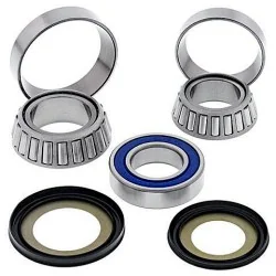 All Balls Kit de rodamientos y retenes columna de dirección All Balls 22-1060 INDIAN CHALLENGER 20-24