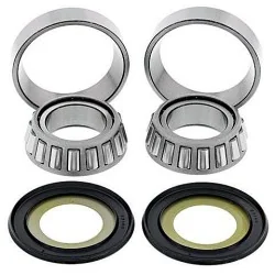 All Balls Kit de rodamientos y retenes columna de dirección All Balls 22-1062 Ducati 1000 SS 03-06