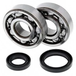 All Balls Kit de rodamientos cigüeñal All Balls 24-1016 Suzuki RM125 89-08