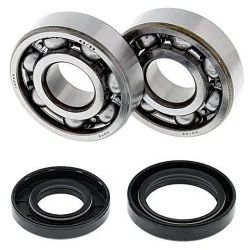 Kit de rodamientos cigüeñal All Balls 24-1025 Yamaha YZ125 01-04