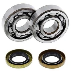 All Balls Kit de rodamientos cigüeñal All Balls 24-1102 Husqvarna CR 65 12, KTM SX 60 98-00, SX 65 98-08, XC 65 08