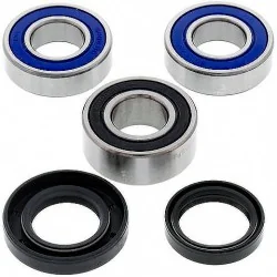 Kit de rodamientos rueda All Balls 25-1418