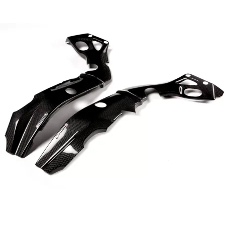 Protectores de Chasis Carbono CARBON 2 RACE BMW S 1000 R 2017-2019