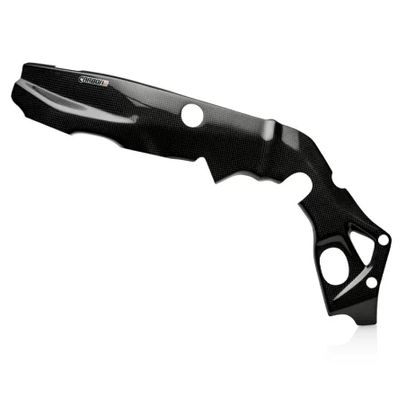 Protectores de Chasis Carbono CARBON 2 RACE BMW S 1000 R 2017-2019