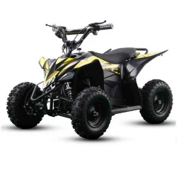 MINIQUAD ELECTRICO 1000W IMR BULL