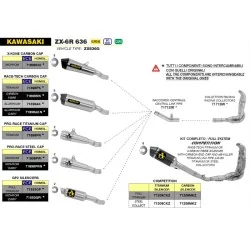 copy of SILENCIADORES RACING WORKS ARROW ACERO INOXIDABLE TITANIO DUCATI PANIGALE V4 2018-2022 2