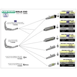 ESCAPE ARROW RACE-TECH HOMOLOGADO EN ALUMINIO NEGRO PARA KAWASAKI Z650 / NINJA 650 17-20 2