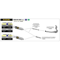 copy of SILENCIADORES RACING WORKS ARROW ACERO INOXIDABLE TITANIO DUCATI PANIGALE V4 2018-2022 2
