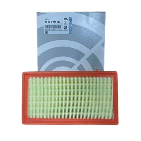 Filtro de aire original BMW REF 13729444643