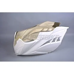 TF SUPERBIKE FRONTAL FIBRA DE VIDRIO KAWASAKI NINJA 300 ’13-17 REF 06/03/13/02