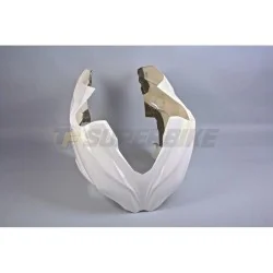 TF SUPERBIKE FRONTAL FIBRA DE VIDRIO KAWASAKI NINJA 300 ’13-17 REF 06/03/13/02 2