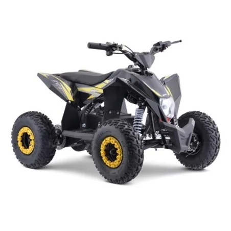 MINIQUAD ELECTRICO IMR WR1000