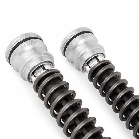 Kit Cartuchos Horquilla OHLINS TTX 25MM APRILIA RSV4-R FACTORY REF FKR 121