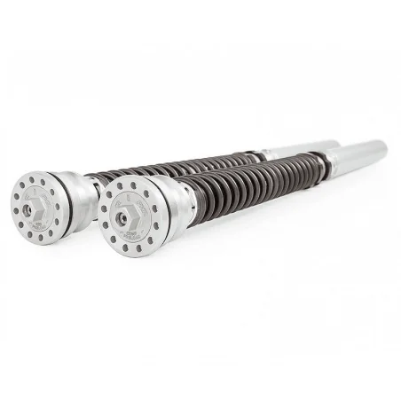 Kit Cartuchos Horquilla OHLINS TTX 25MM APRILIA RSV4-R FACTORY REF FKR 121