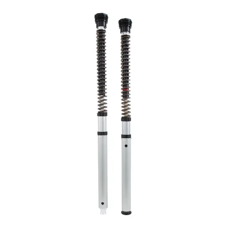 Kit Cartucho Horquilla OHLINS NIX30 BMW S 1000 R NAKED 2014-2018