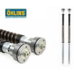 copy of Kassetten-Set Gabel OHLINS TTX 25MM BMW