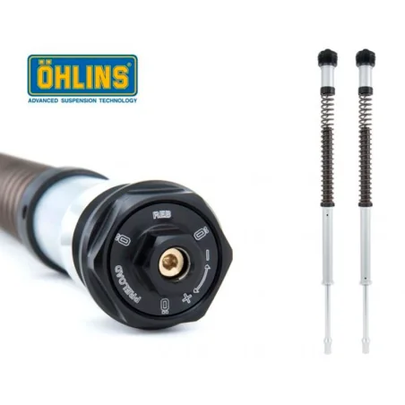 copy of Kartusche Gabel OHLINS NIX30 BMW