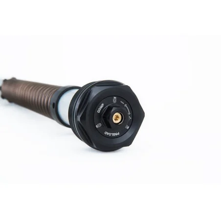 KIT CARTUCHOS HORQUILLA OHLINS NIX22 YAMAHA R25 / R3 2019-2020 REF 21944-01
