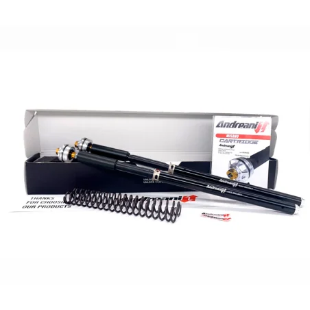 KIT CARTUCHO DE HORQUILLA ANDREANI EVOLUTION KAWASAKI ZX-10 R 2004-2005 REF 105/K31E