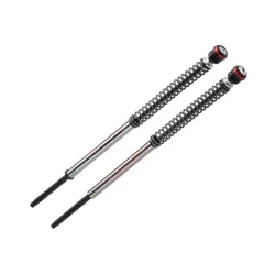 copy of KIT DE CARTUCHO DE HORQUILLA ANDREANI EVOLUTION APRILIA RS 660 2020