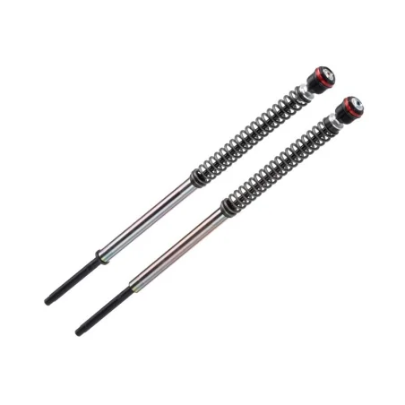 copy of KIT DE CARTUCHO DE HORQUILLA ANDREANI EVOLUTION APRILIA RS 660 2020