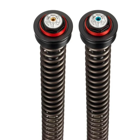 copy of KIT DE CARTUCHO DE HORQUILLA ANDREANI EVOLUTION APRILIA RS 660 2020