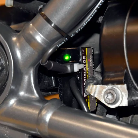 Healtech ESE-SW-BM1 Abgasservomotor-Controller + ESE-BM1 Emulator für BMW