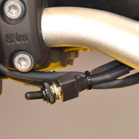 Healtech ESE-SW-BM1 Abgasservomotor-Controller + ESE-BM1 Emulator für BMW