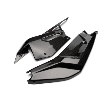 Tapas de basculante de fibra de carbono APRILIA TUONO 660