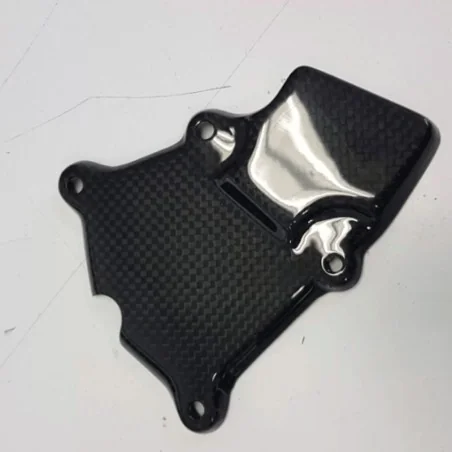 Cubierta de recogida CARBON 2 RACE BMW S 1000RR 2009-2018