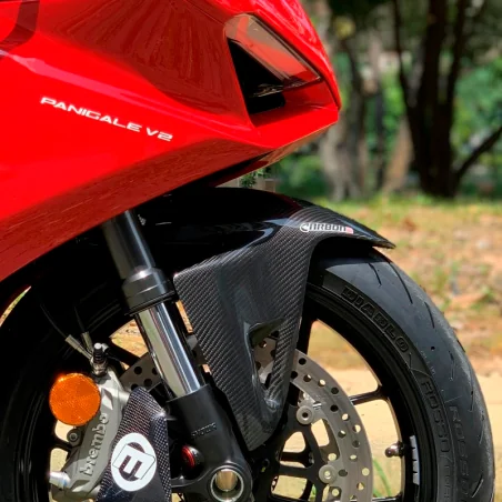 Guardabarros Delantero Carbono CARBON 2 RACE DUCATI Streetfighter V4