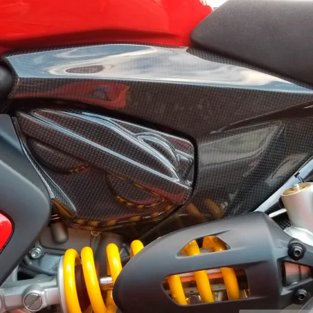 Protector Sub Chasis Carbono CARBON 2 RACE DUCATI Streetfighter V2