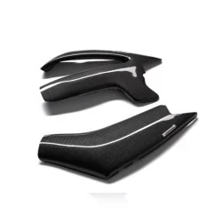 Protectores de basculante de Carbono CARBON 2 RACE YAMAHA FZ1 Fazer 2006-2015