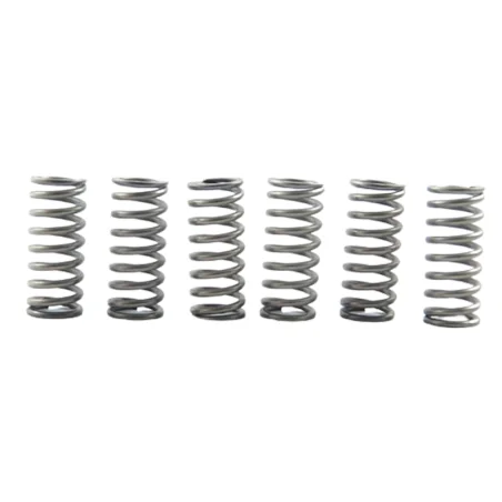 copy of Kit Embrague EBC SRK APRILIA RSV-4 R/FACTORY 2009-2012