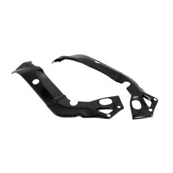 CARB1061 Protectores Basculante Carbono LIGHTECH BMW S 1000 R 17-19